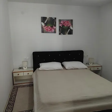 Apartment Ivana Diklo Zadar